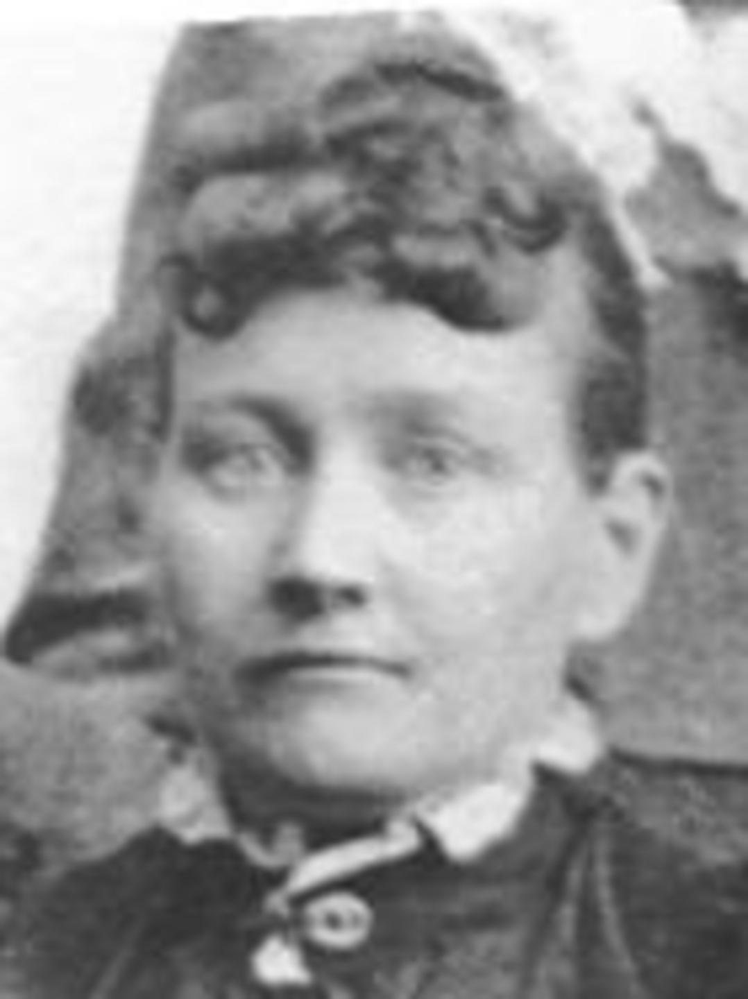 Agnes Elizabeth Curfew (1857 - 1929) Profile